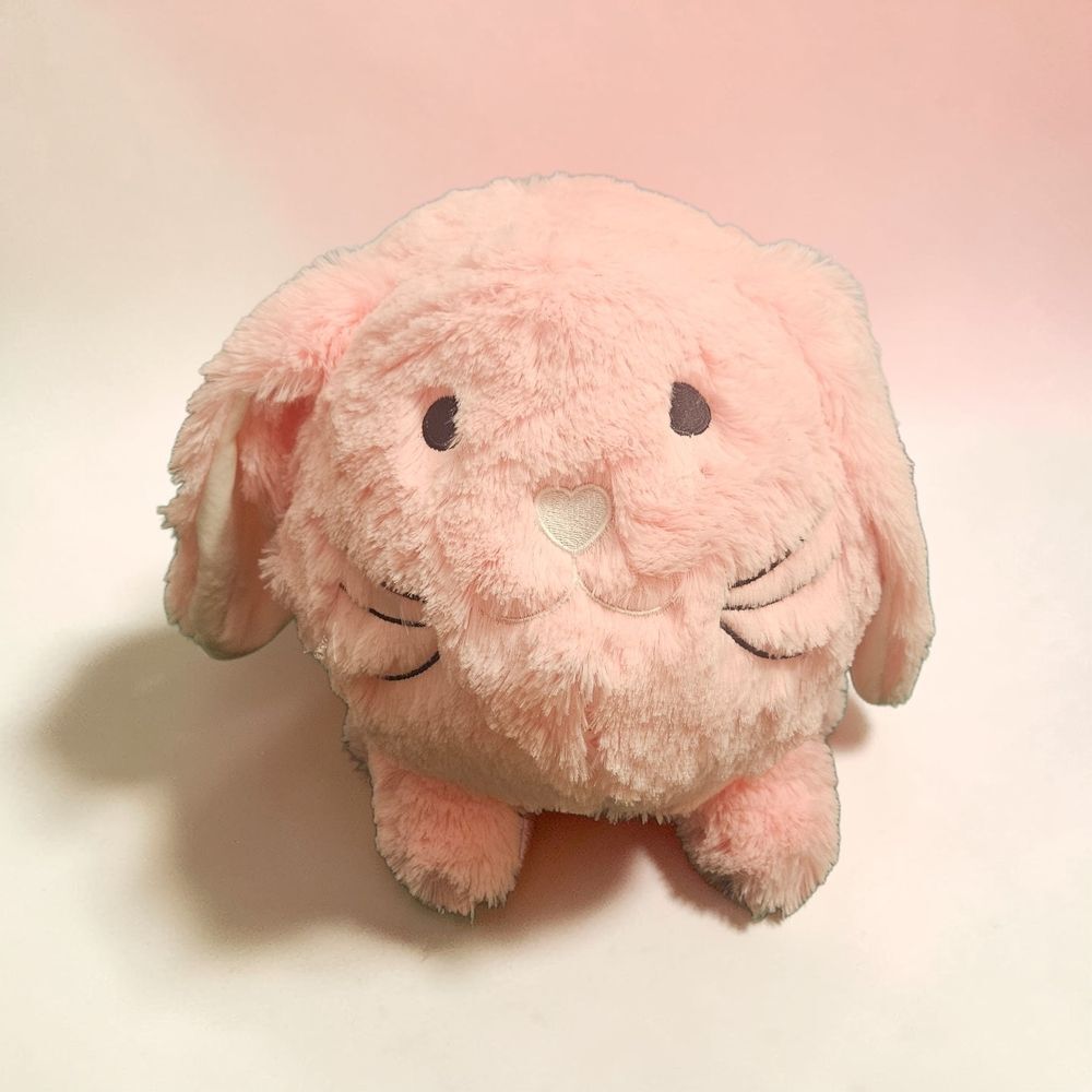 I'm A Bank! Jumbo Plush Floppy Ear Bunny Piggy Bank – Pink & Adorable!